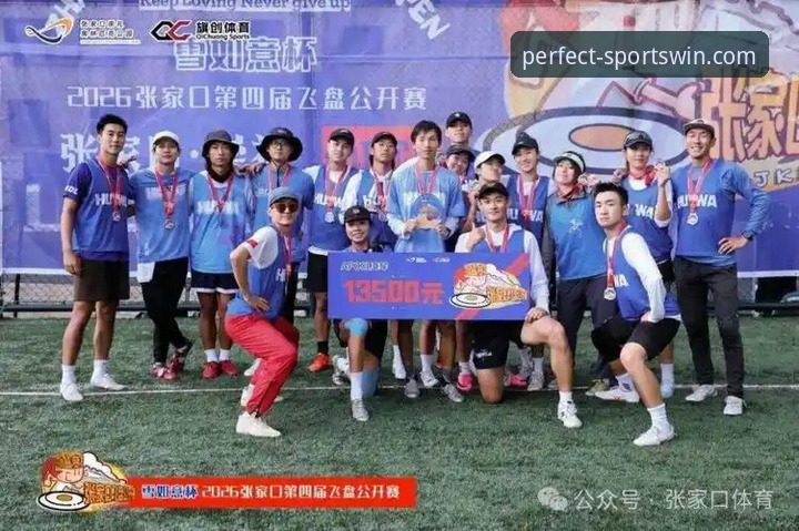 完美体育极速稳定 揭秘完美体育极速稳定背后的真相:资深分析师李燃深度评测WANMEI官网核心体验